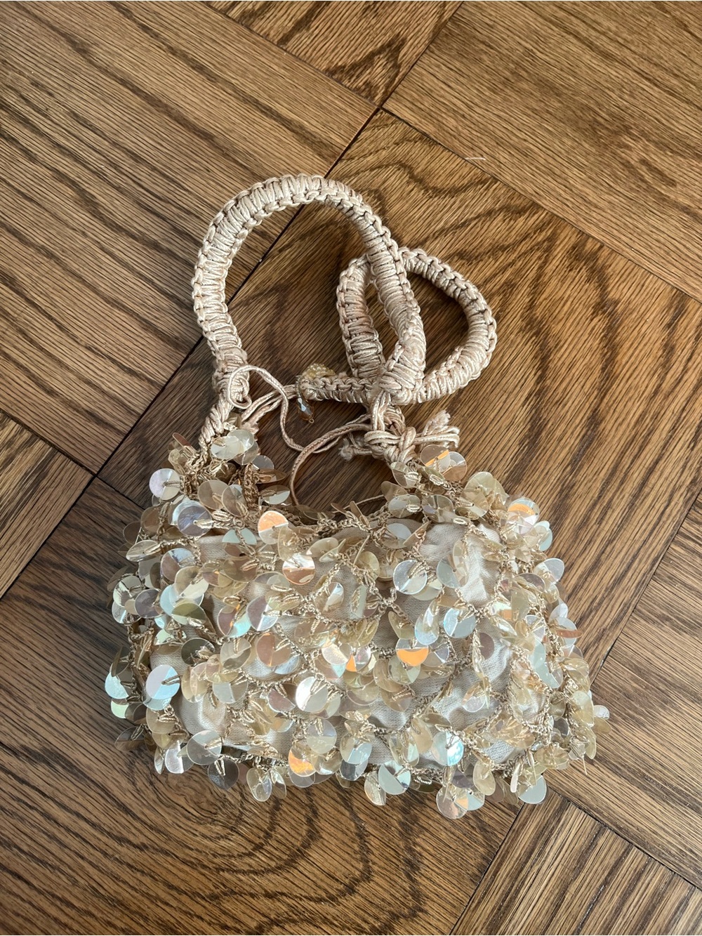 Zara Iridescent Champagne Sequin Mini Bag